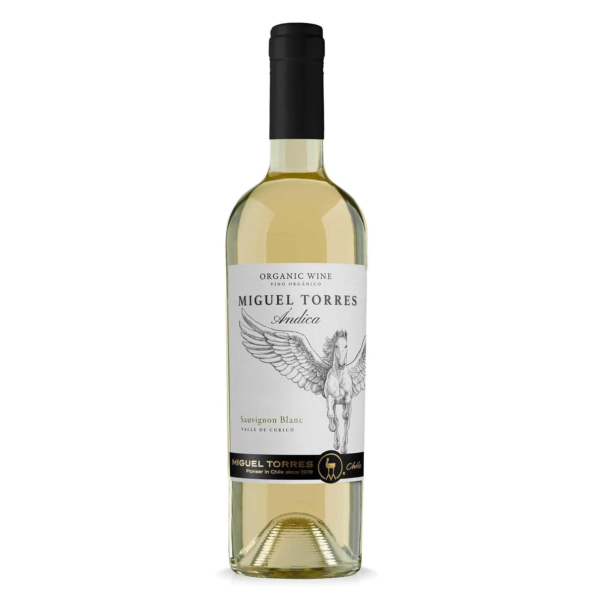 Beverages Vin Alb Miguel Torres Andica Sauvignon Blanc Sec 0.75L