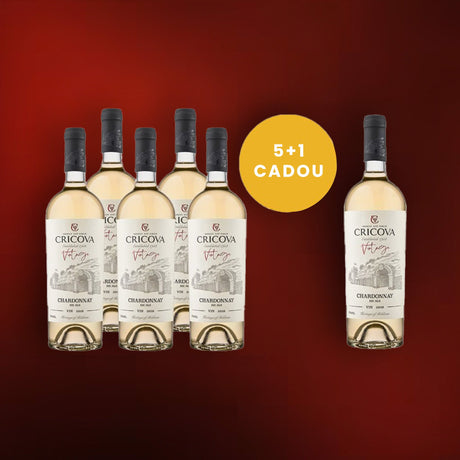 Oferte 5+1