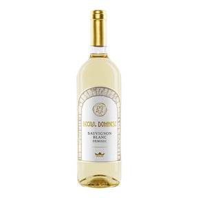 Beverages Vin Alb Vincon Beciul Domnesc Sauvignon Blanc Demisec 0.75L